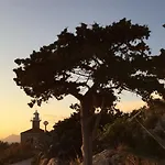 Center Roza * マカルスカ