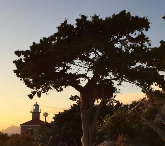 Center Roza * Makarská